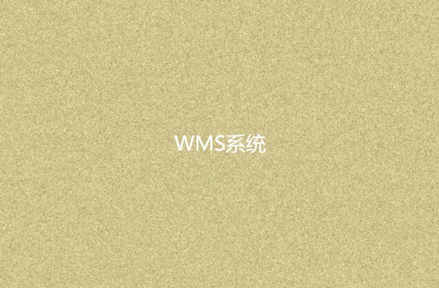 WMS系統(tǒng)適合小型企業(yè)嗎？